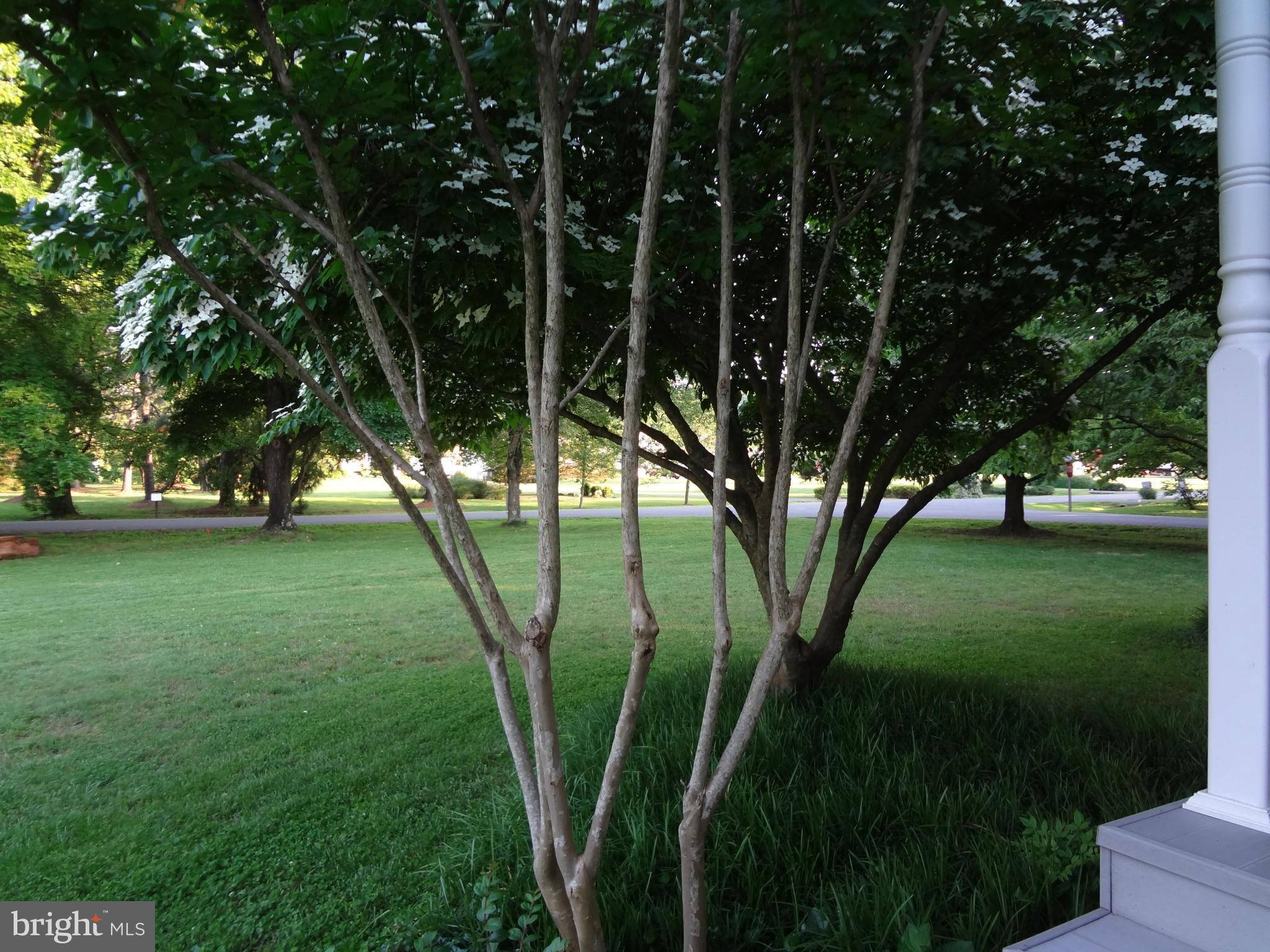 RIVER BEND - Residential