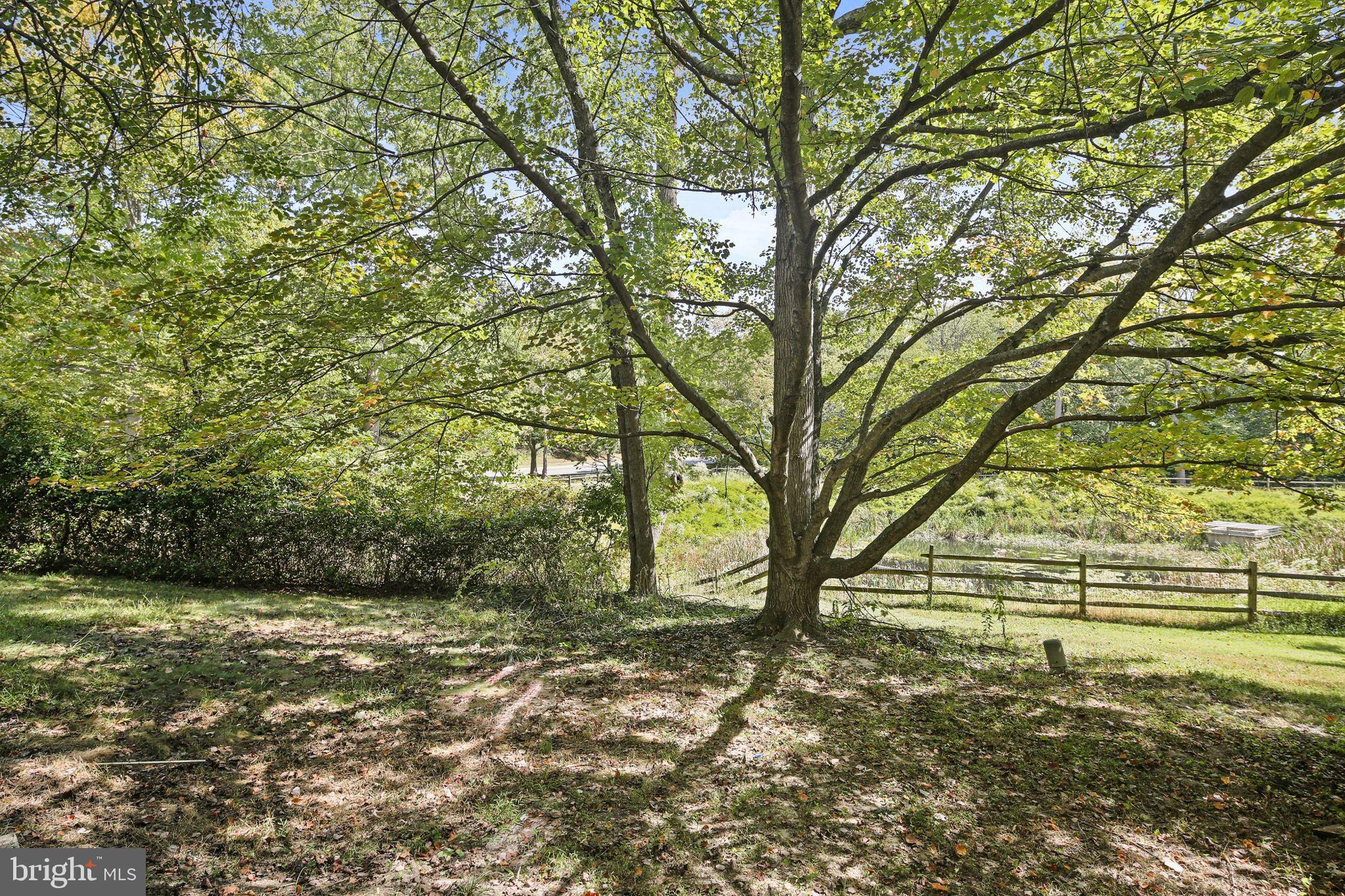 WOODLAND PARK - Residential