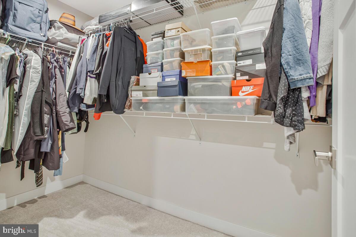 CANTER CREEK - Residential