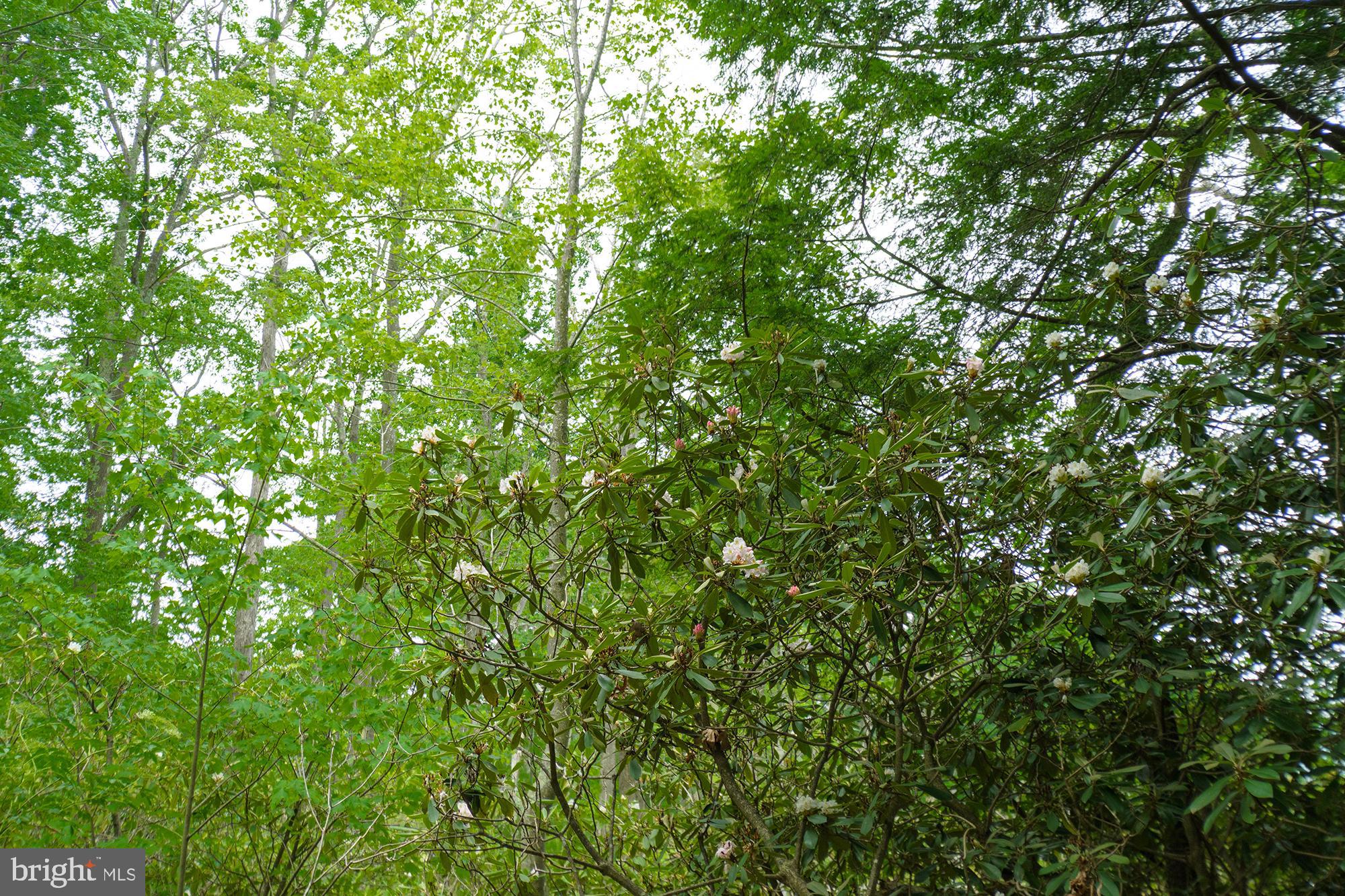 SAND STONES - Residential