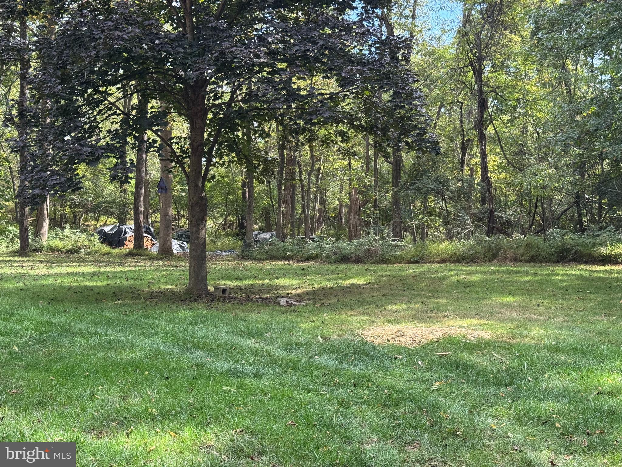 APPLE TREE FARMS - Residential