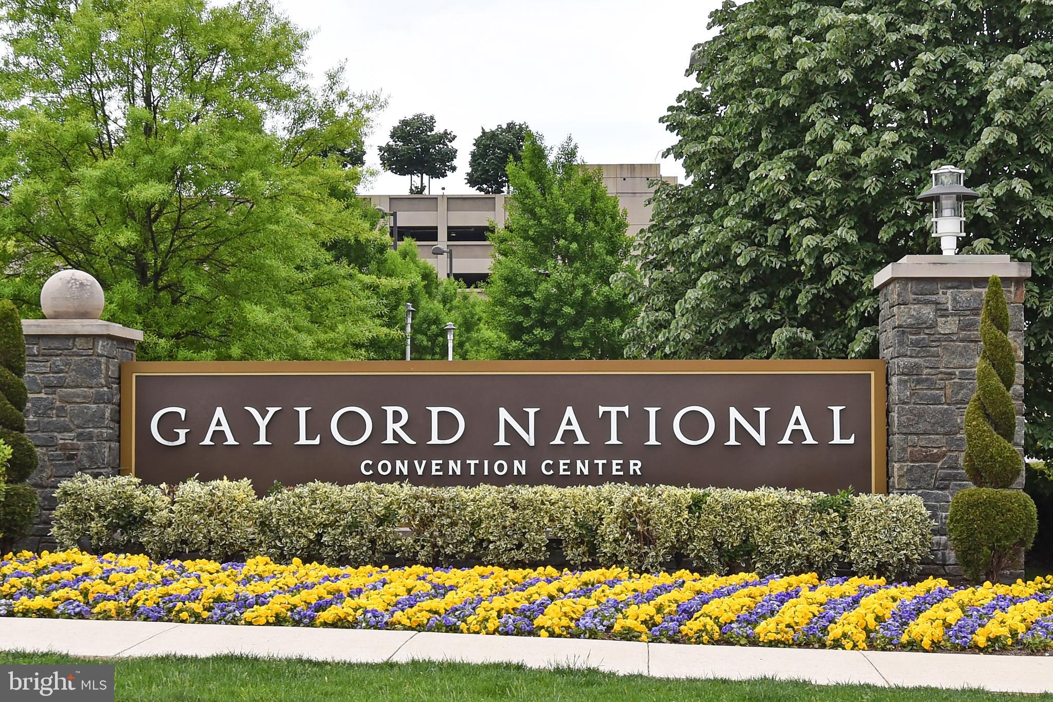 DORCHESTER ESTATES - Residential Lease