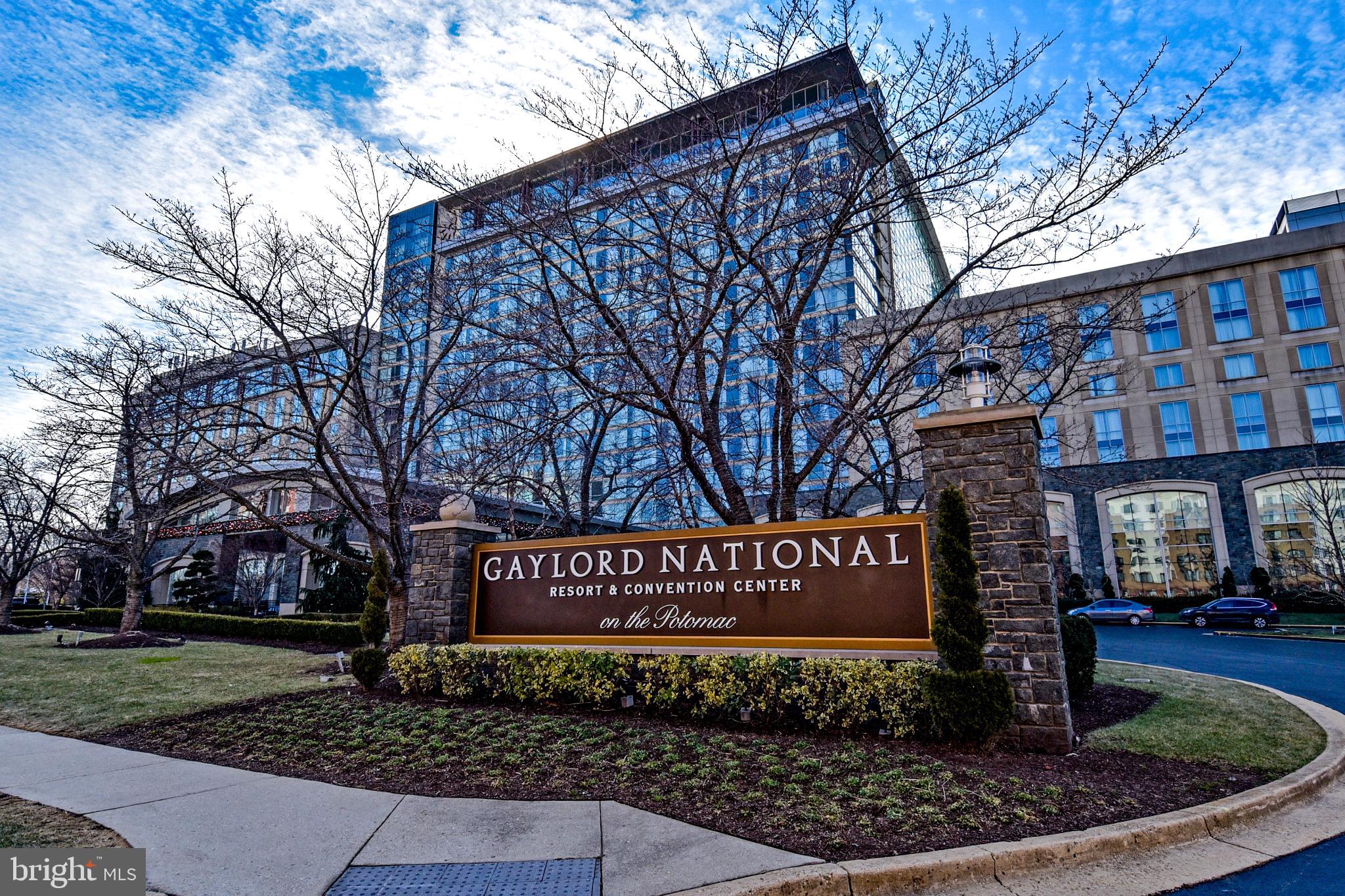 DORCHESTER ESTATES - Residential Lease