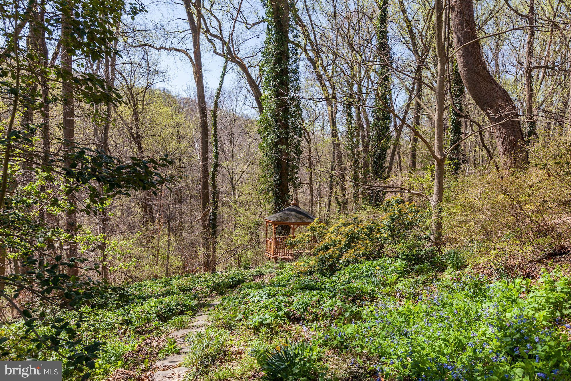 BELLEVUE FOREST - Residential