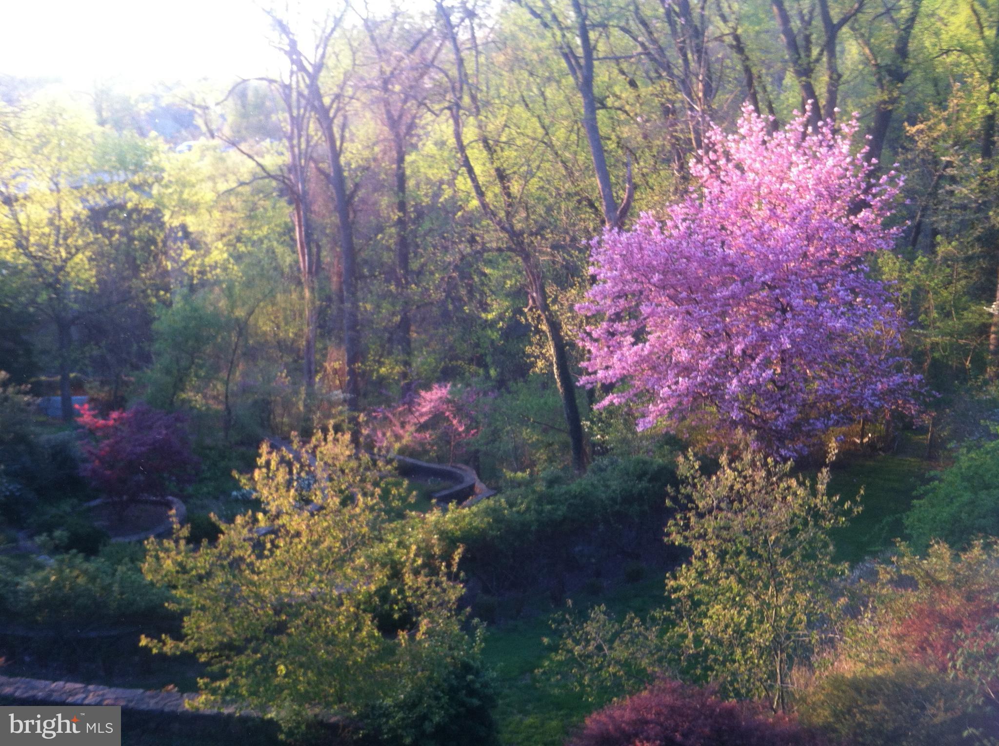 BELLEVUE FOREST - Residential