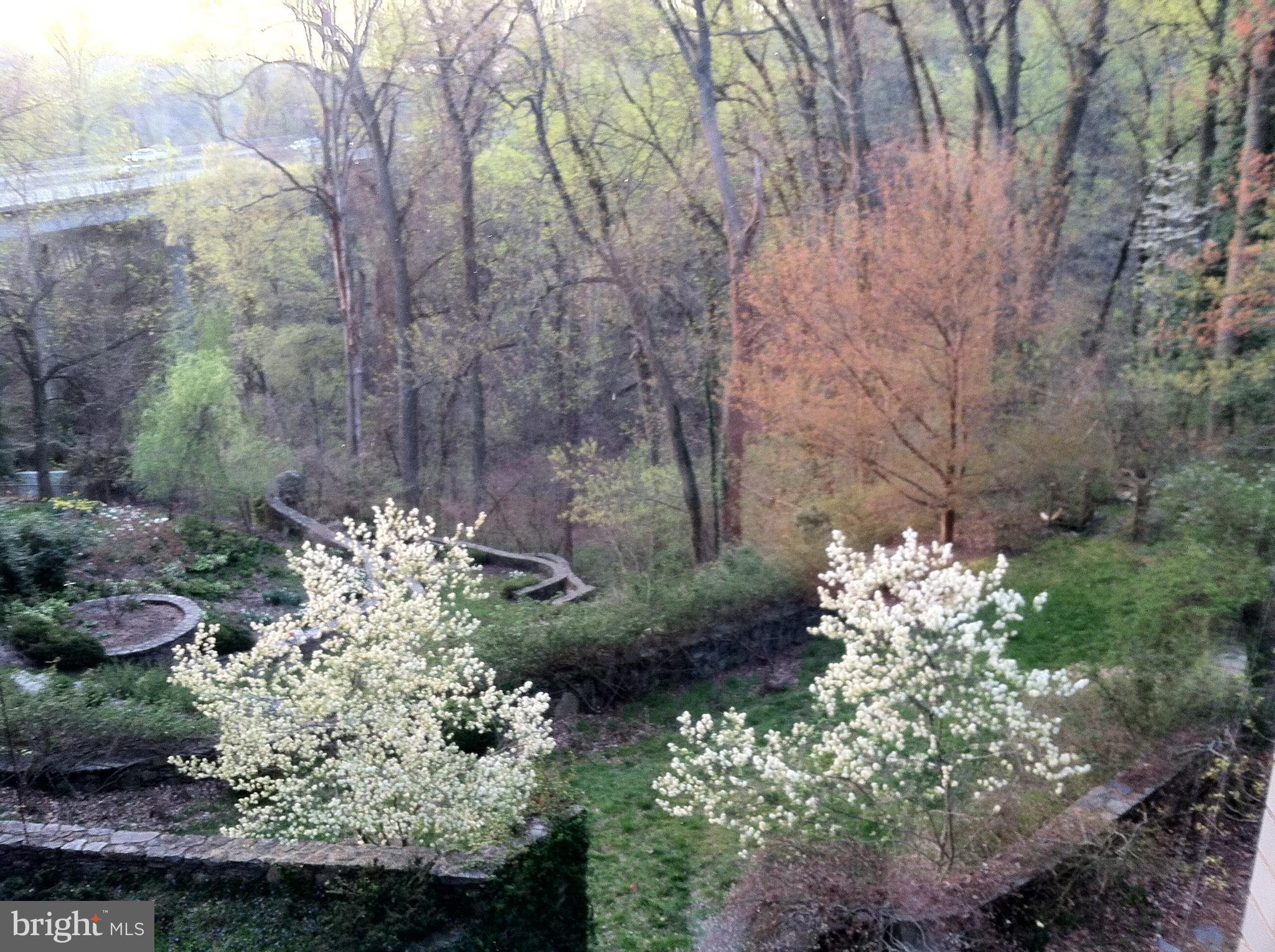 BELLEVUE FOREST - Residential