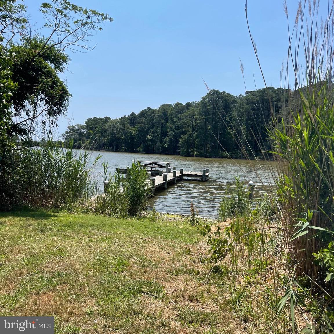 Professional photos coming soon! Never on the market before! This 78+ acre Speigle family farm has everything you've been looking for! Two homes on the property with a large barn. Water access with a private pier to go fishing and crabbing on your property. Secluded and peaceful. Tenant in 2nd home until 8/31. Do not walk property without an appointment please.