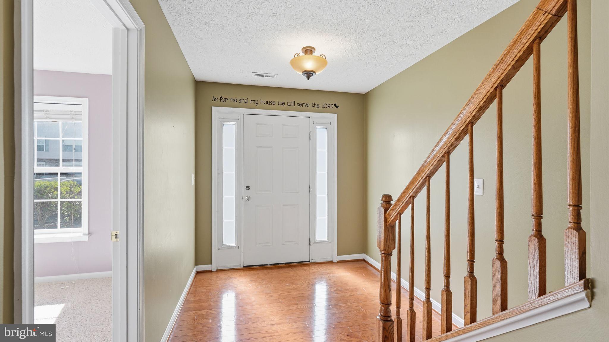 106 SAND DOLLAR CV