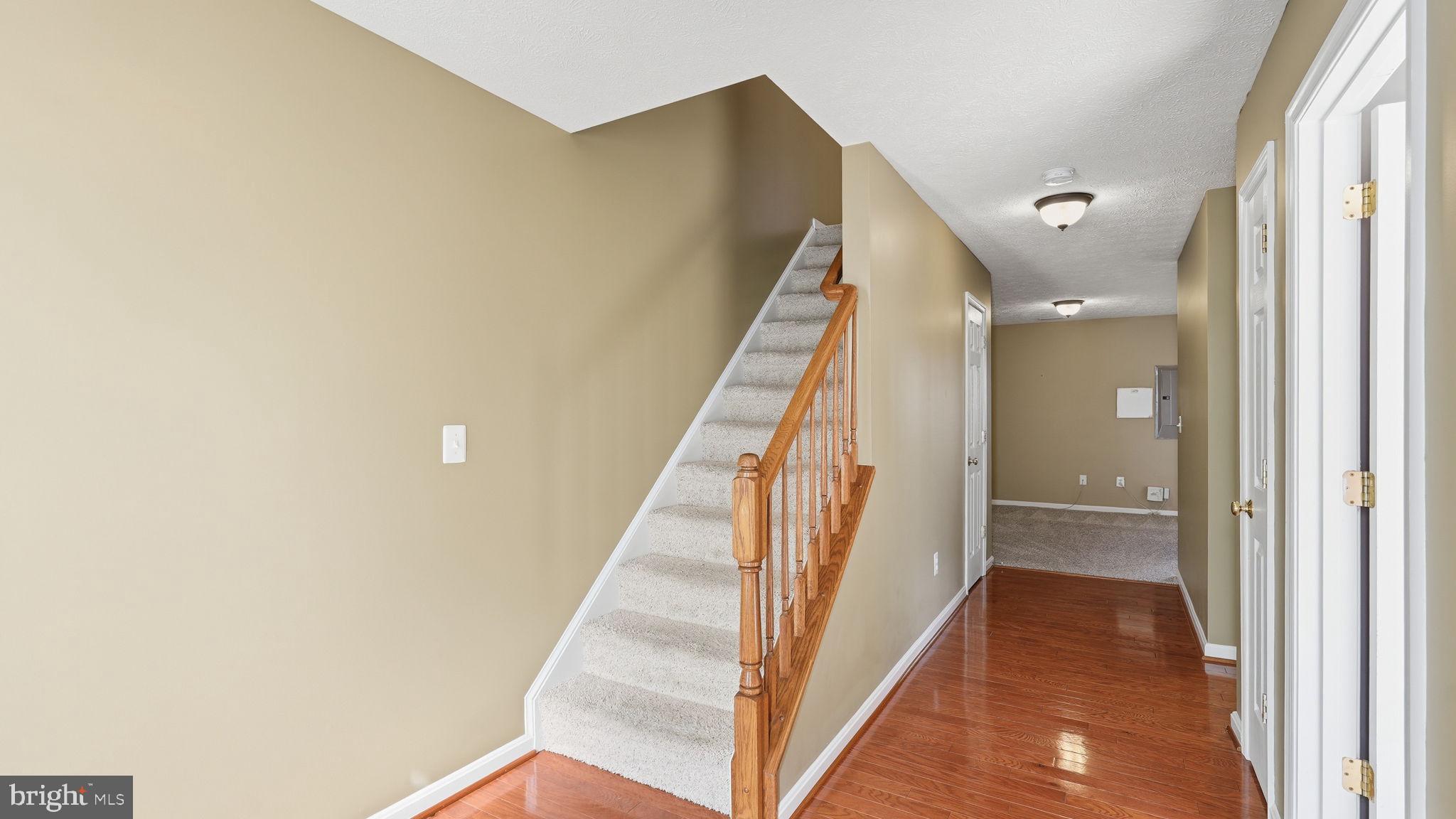 106 SAND DOLLAR CV