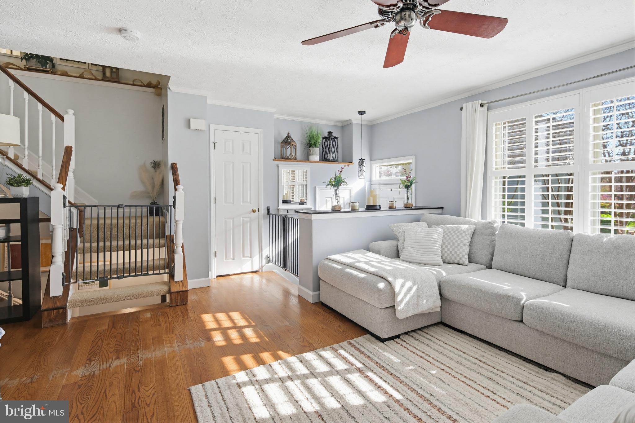 CHESTNUT HILL COVE - Residential