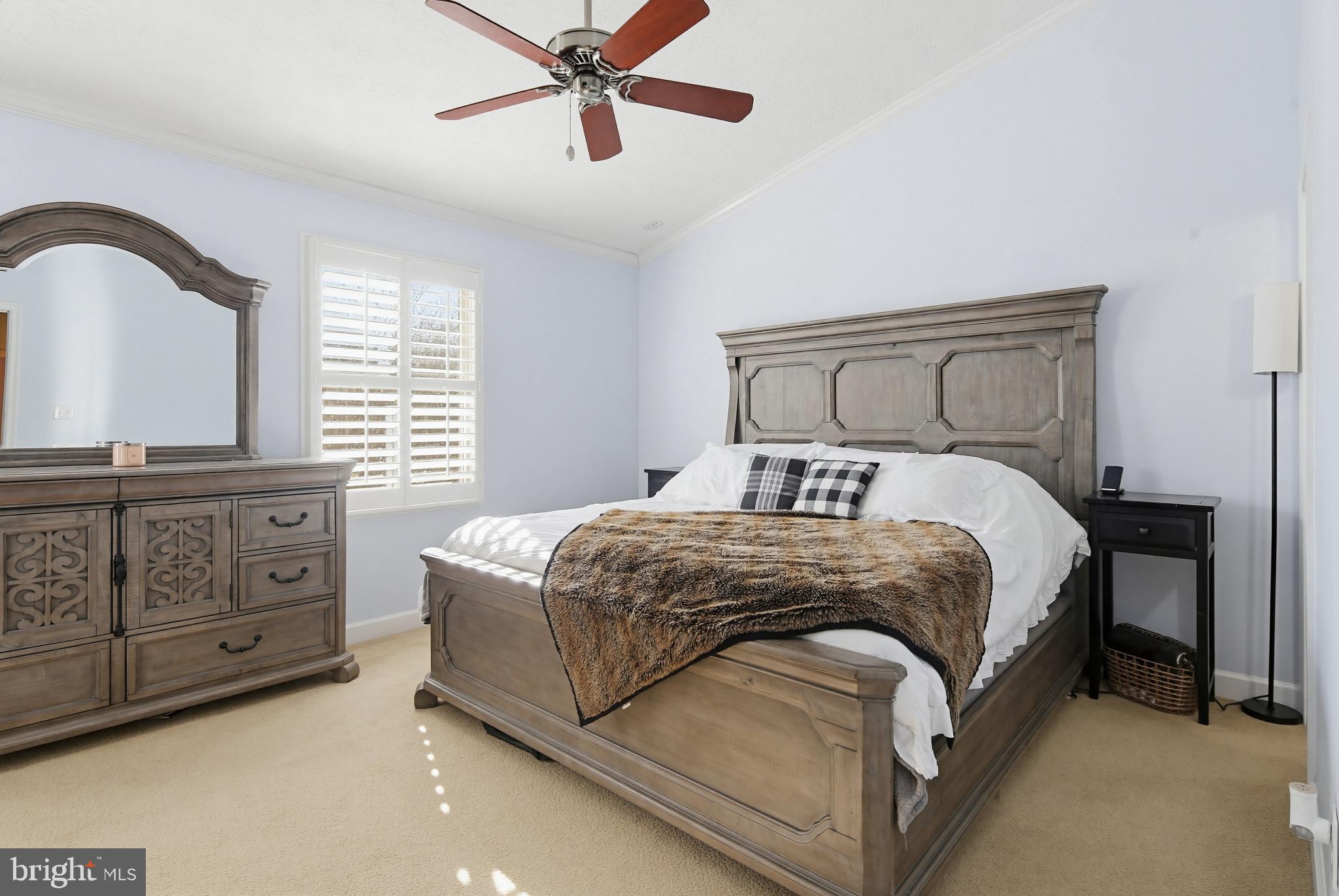 CHESTNUT HILL COVE - Residential