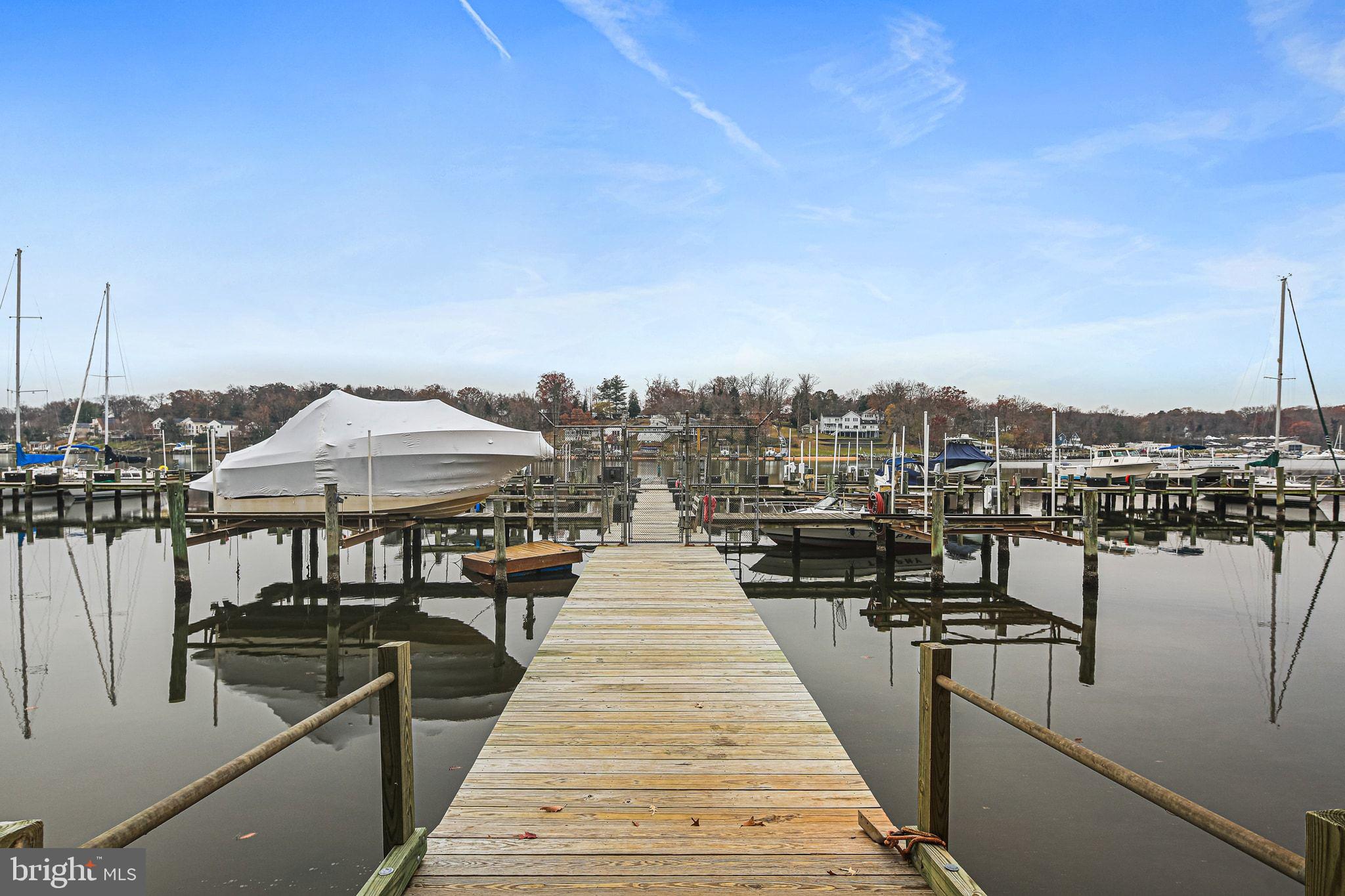 CHESTNUT HILL COVE - Residential