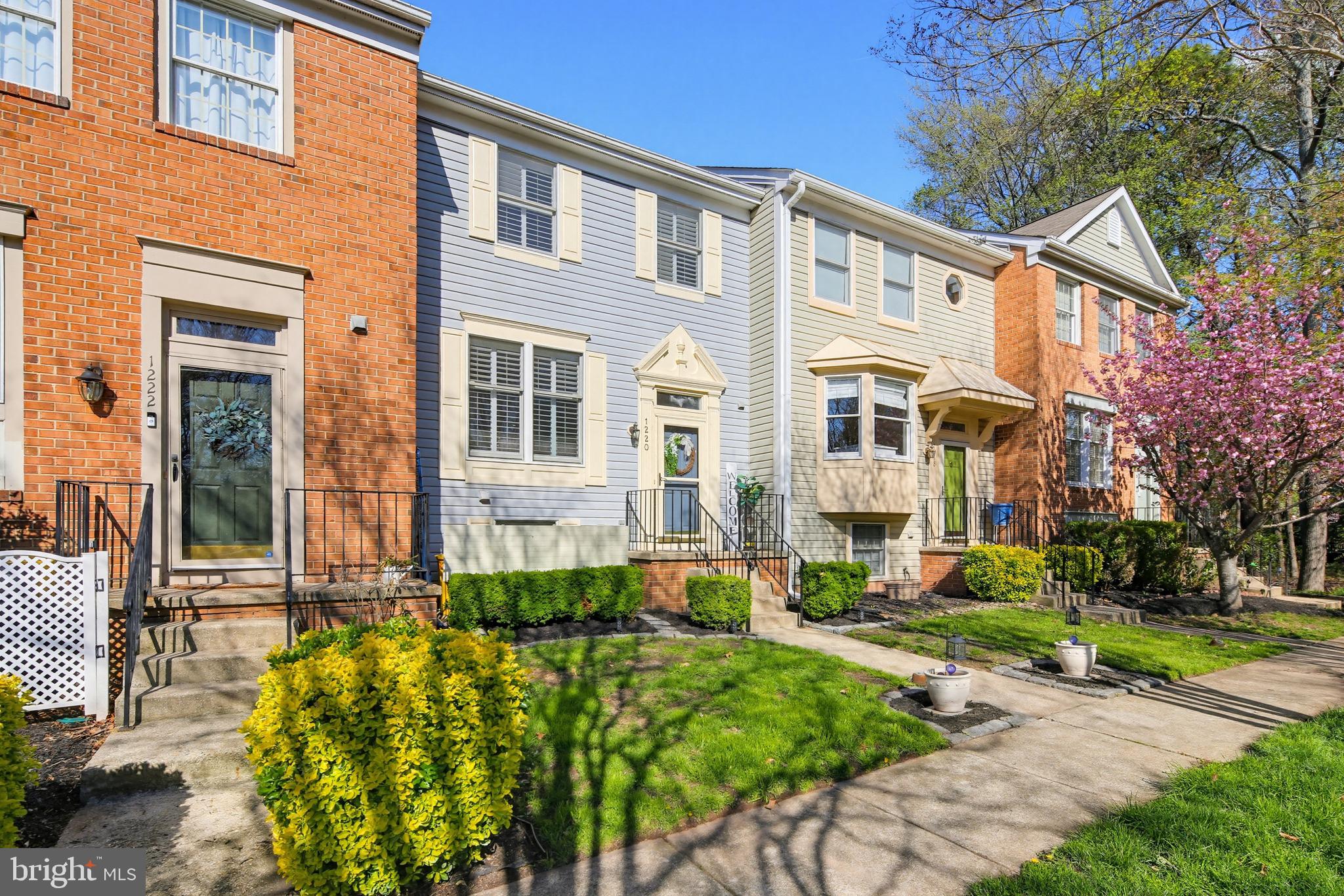 CHESTNUT HILL COVE - Residential