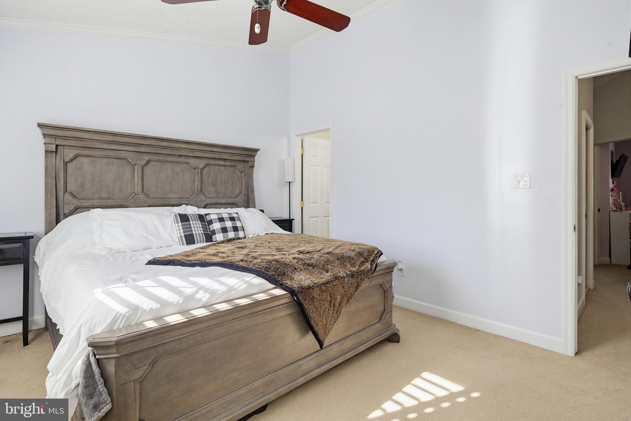 CHESTNUT HILL COVE - Residential