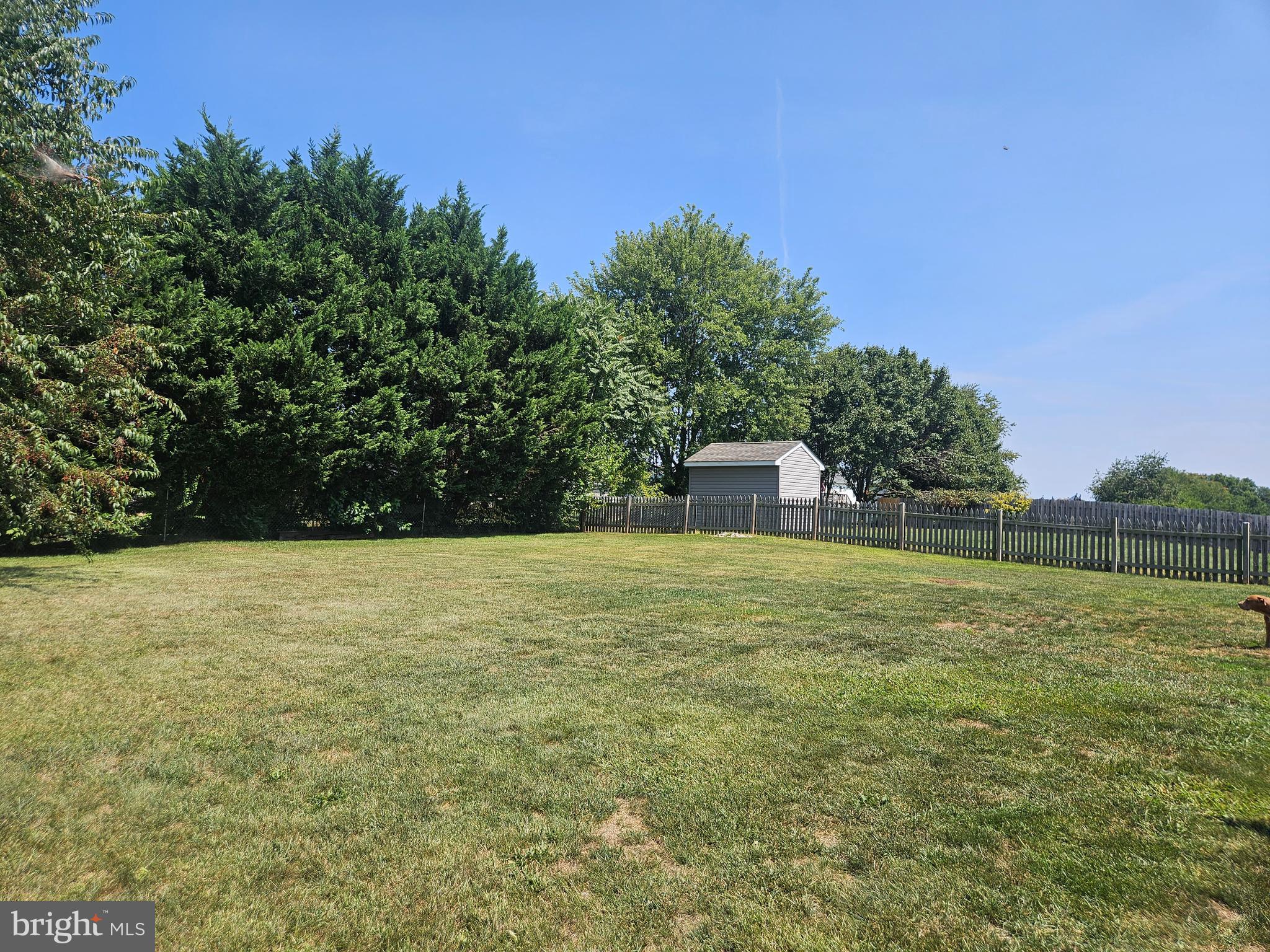 ELIZABETH STATION - Residential