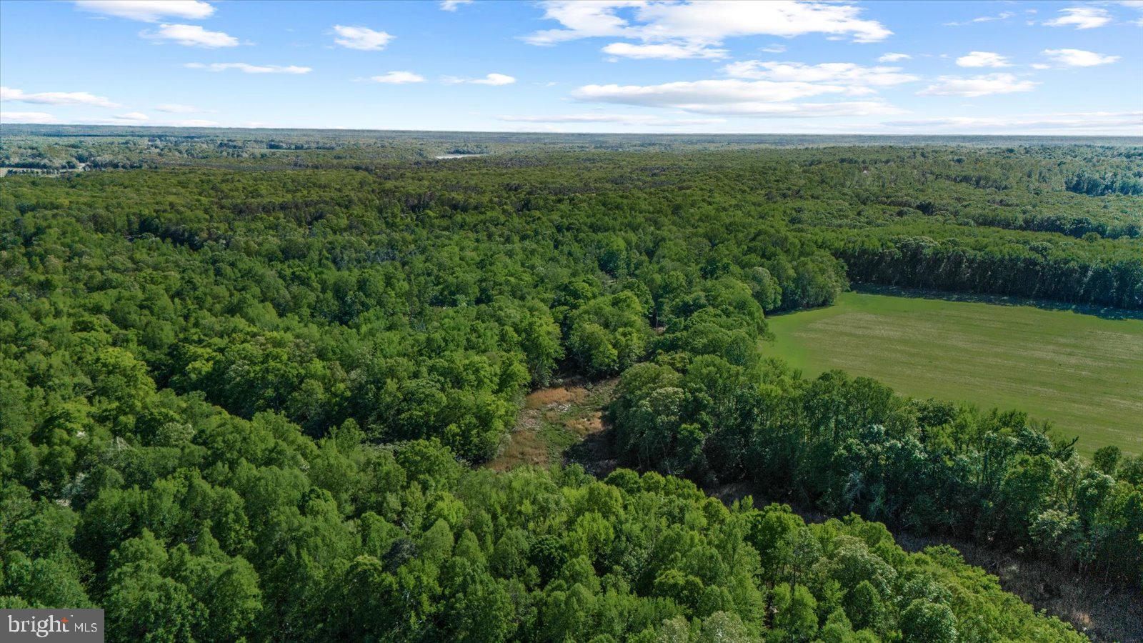 MT MORIAH ON THE POTOMAC - Residential