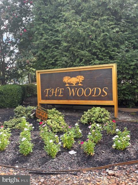 1303 THE WOODS 1303