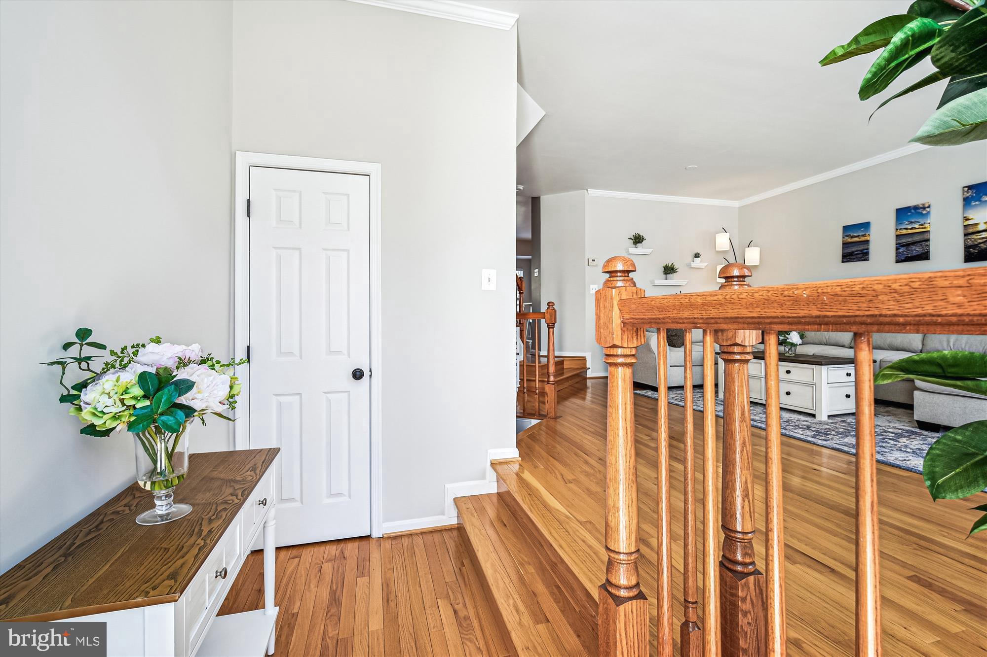 ISLAND CREEK - Residential