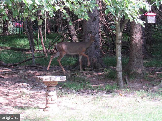ROUND TOP ESTATES - Residential