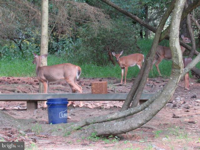 ROUND TOP ESTATES - Residential