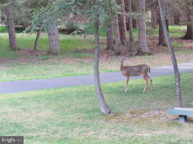 ROUND TOP ESTATES - Residential