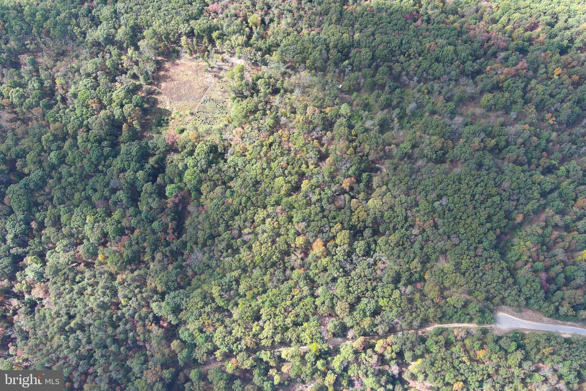 QUIVEY'S GROVE - Land