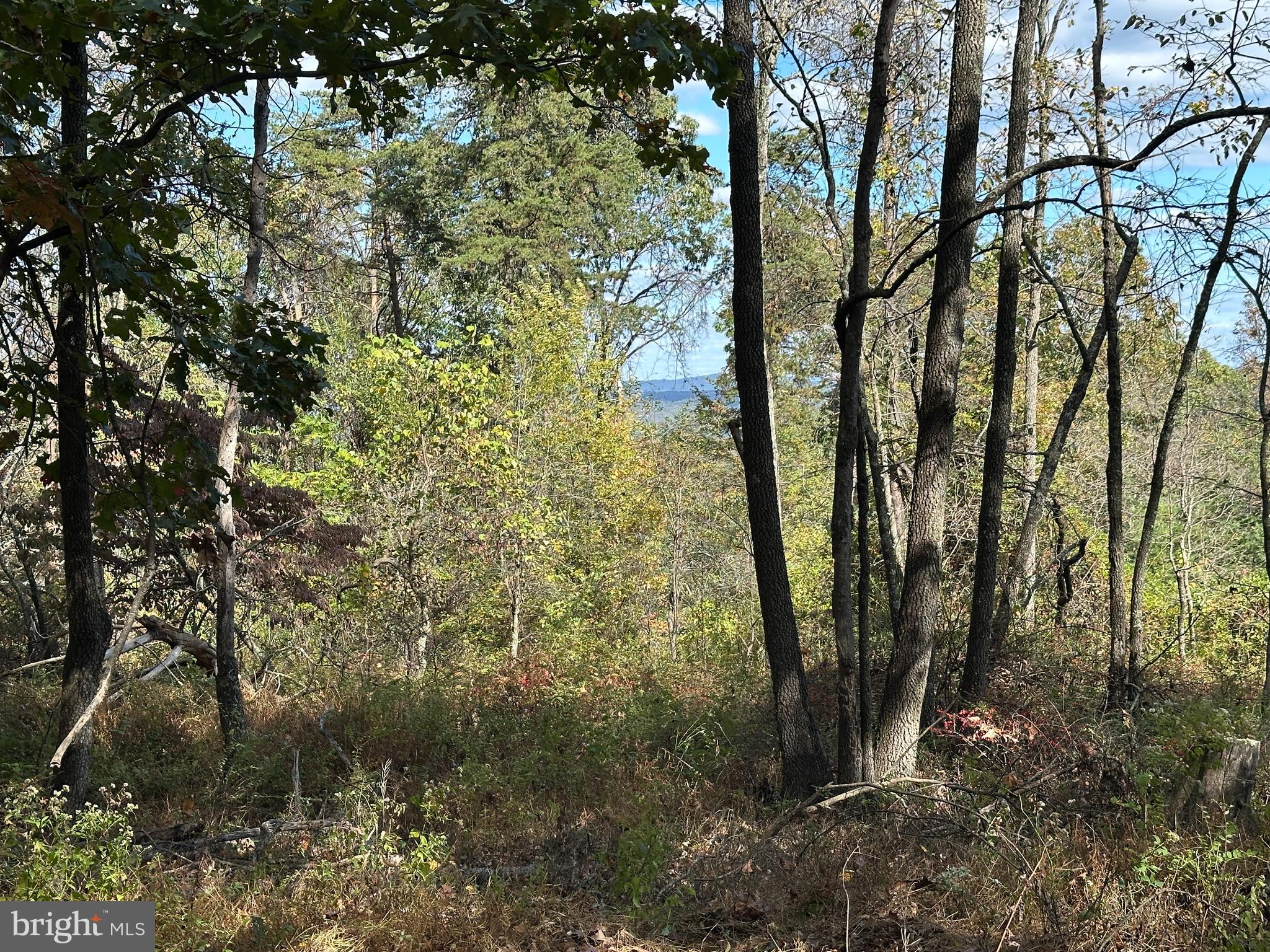 QUIVEY'S GROVE - Land