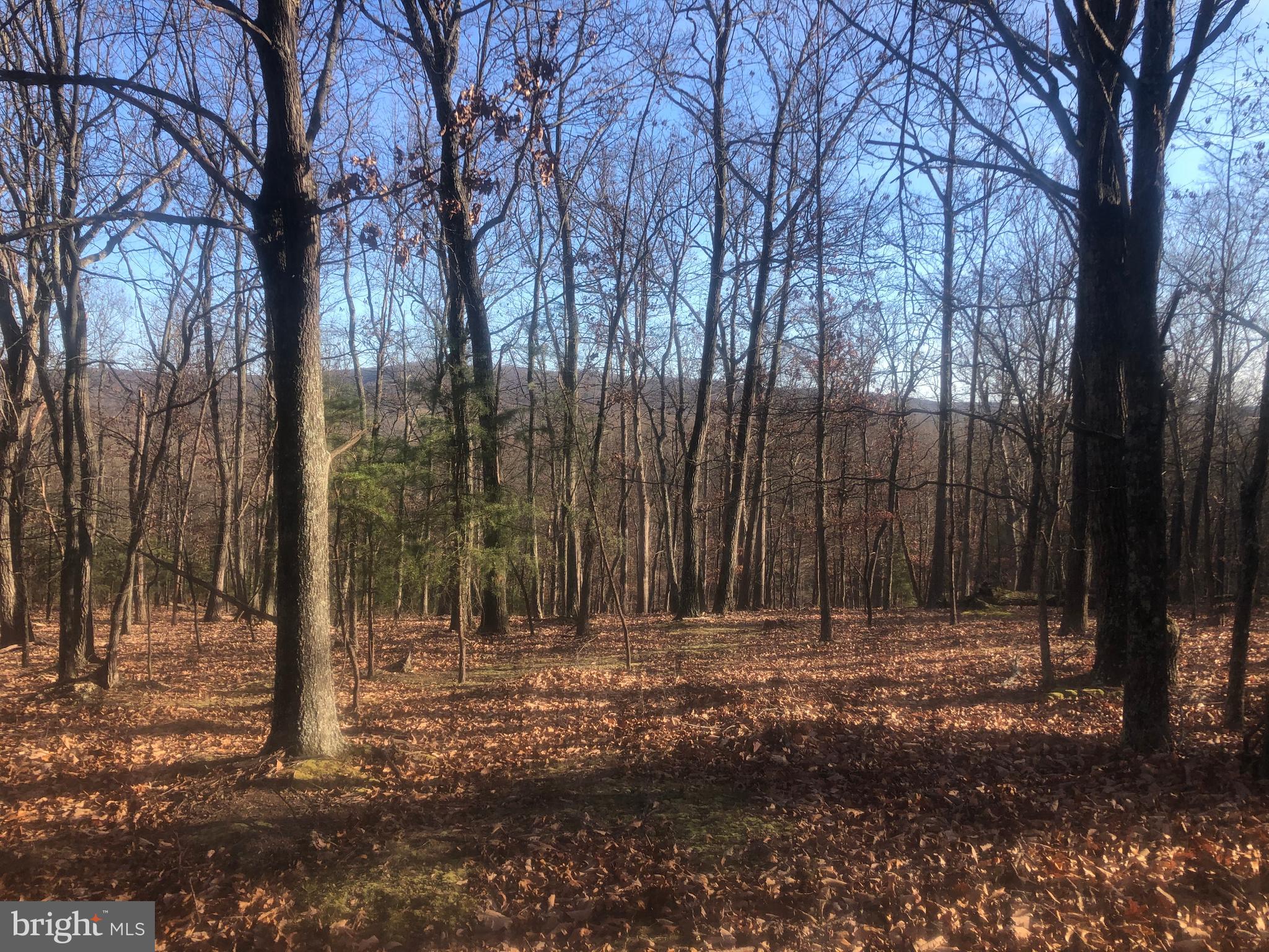 QUIVEY'S GROVE - Land