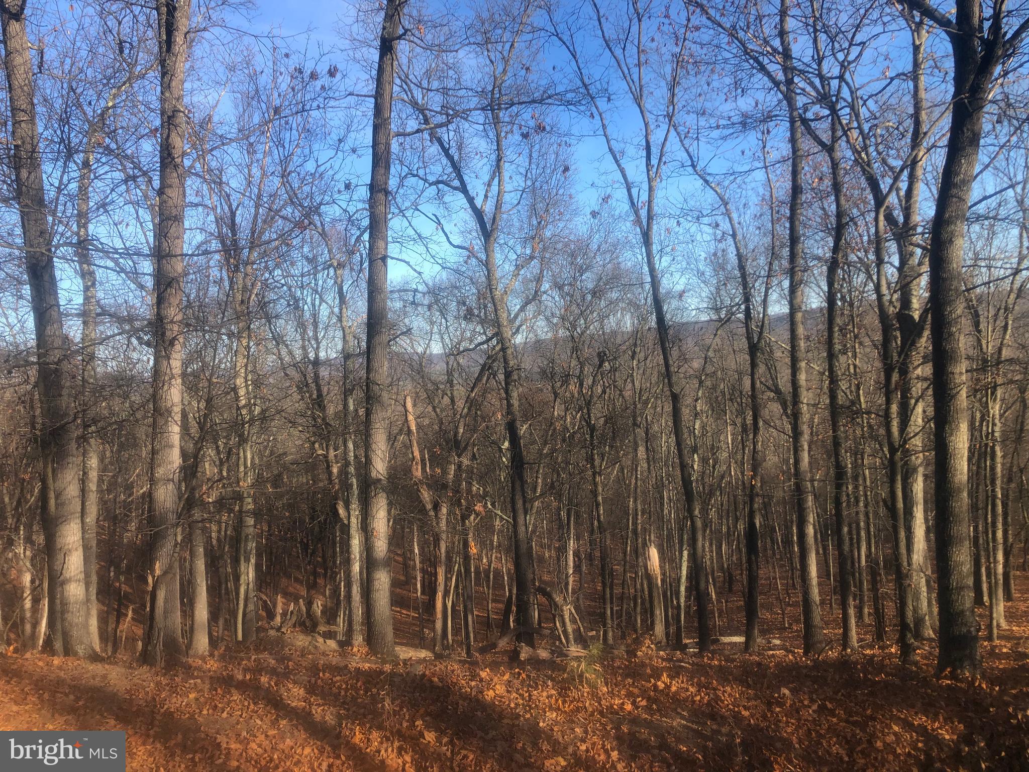 QUIVEY'S GROVE - Land