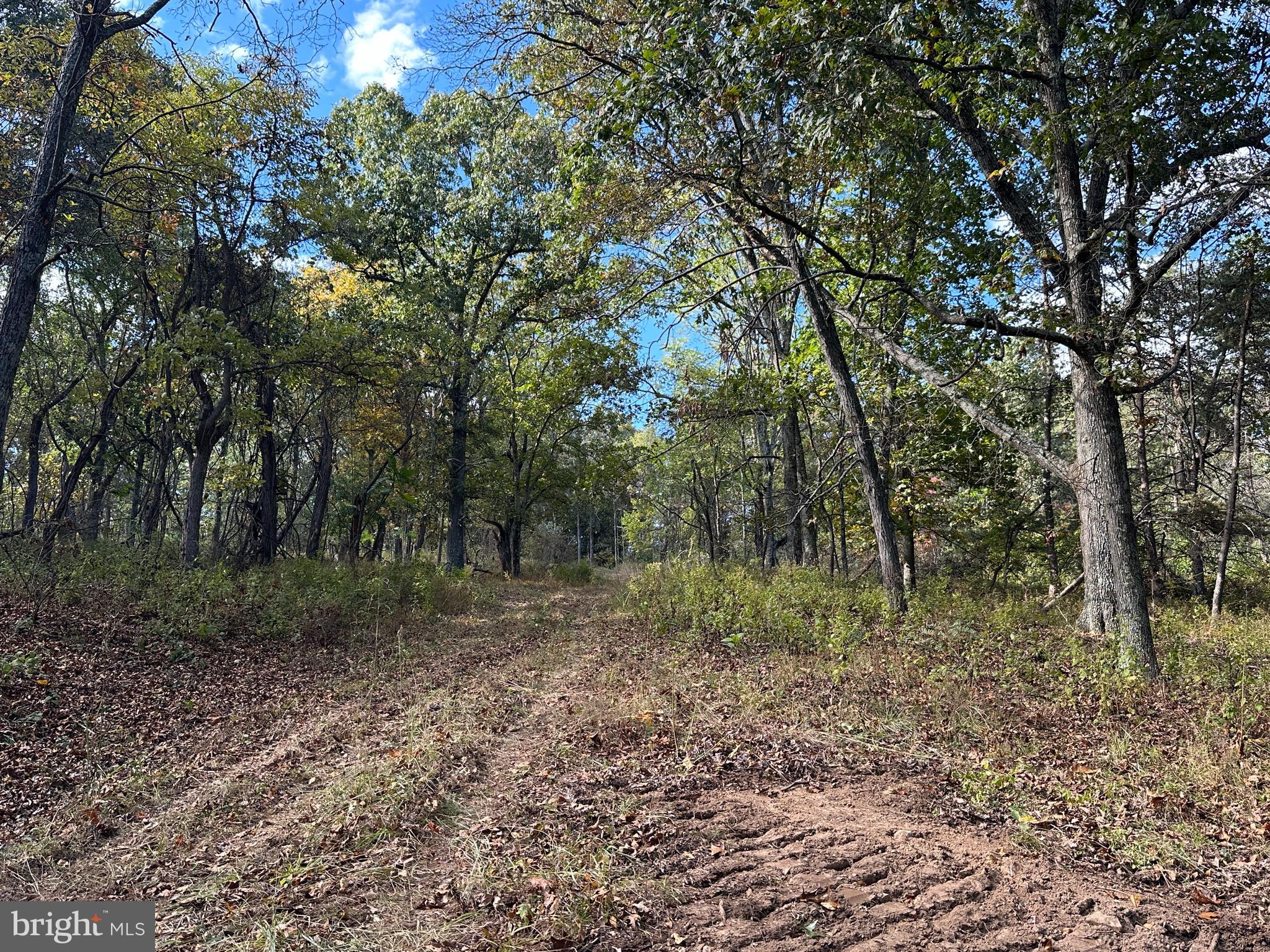 QUIVEY'S GROVE - Land