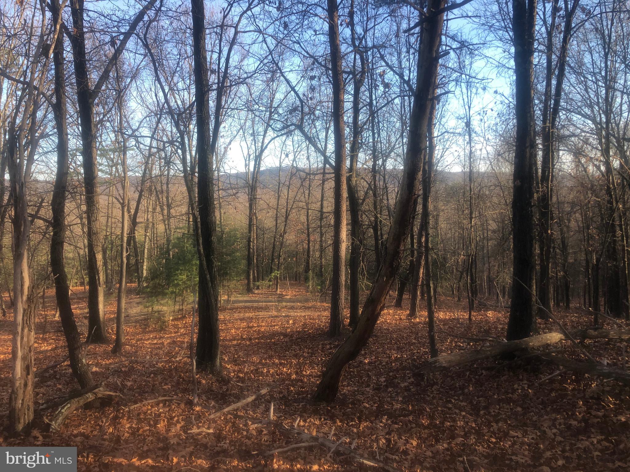 QUIVEY'S GROVE - Land