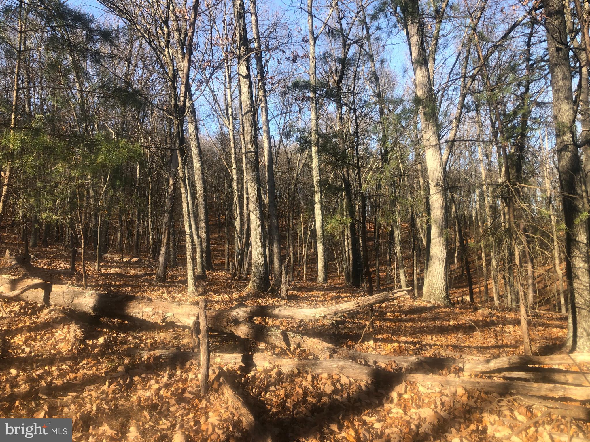 QUIVEY'S GROVE - Land