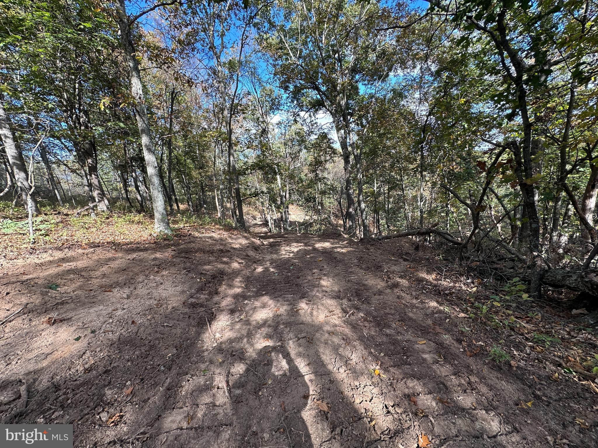 QUIVEY'S GROVE - Land