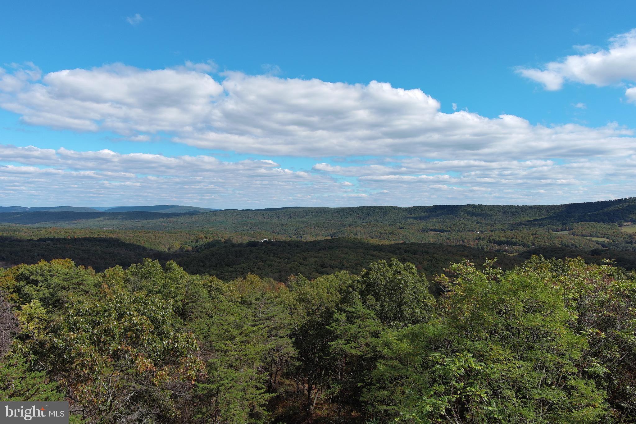 QUIVEY'S GROVE - Land