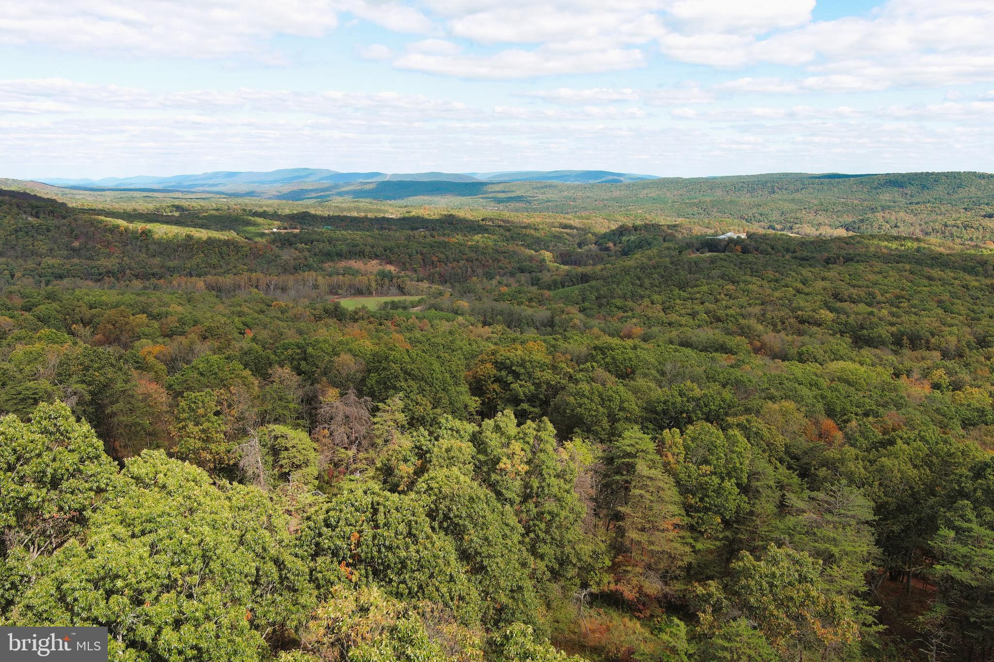 QUIVEY'S GROVE - Land