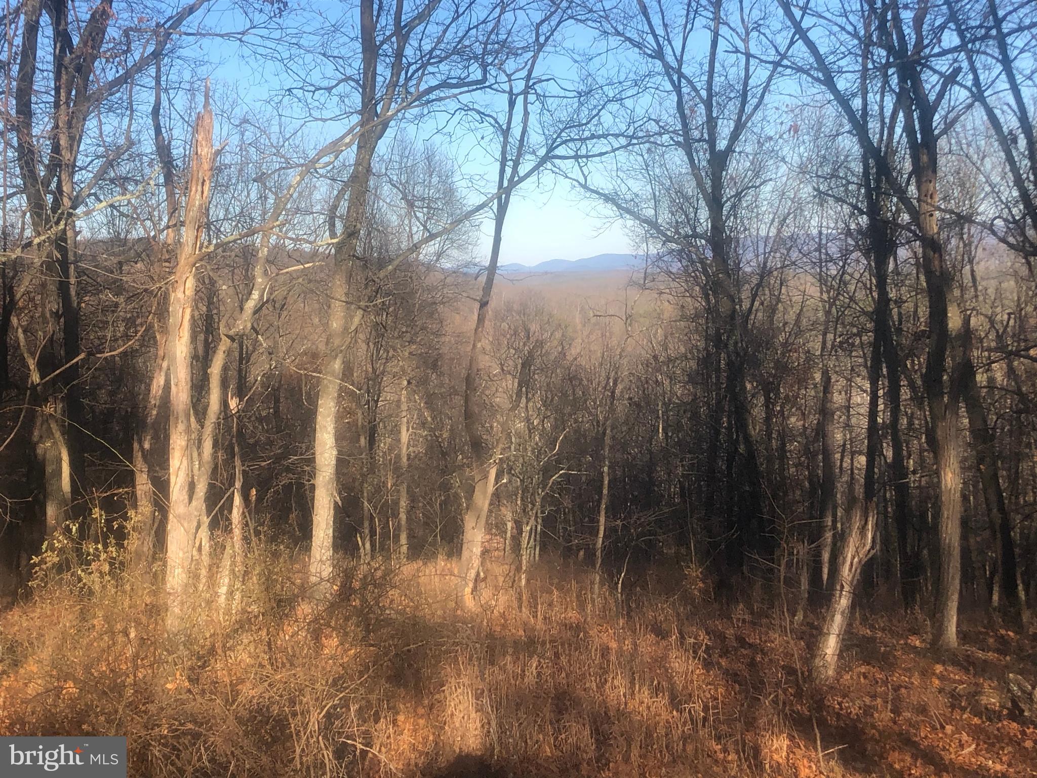 QUIVEY'S GROVE - Land