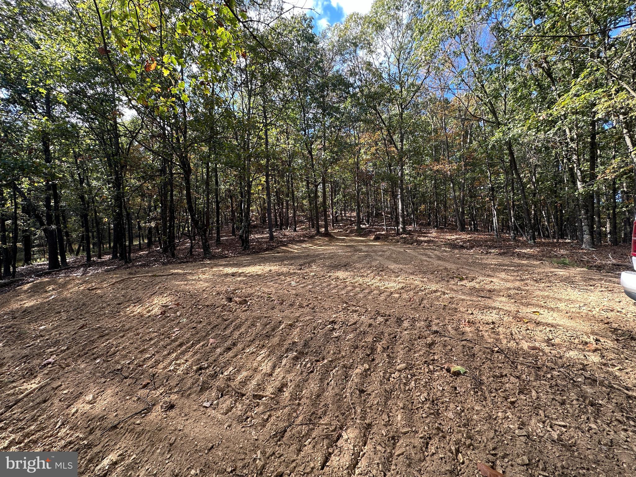 QUIVEY'S GROVE - Land