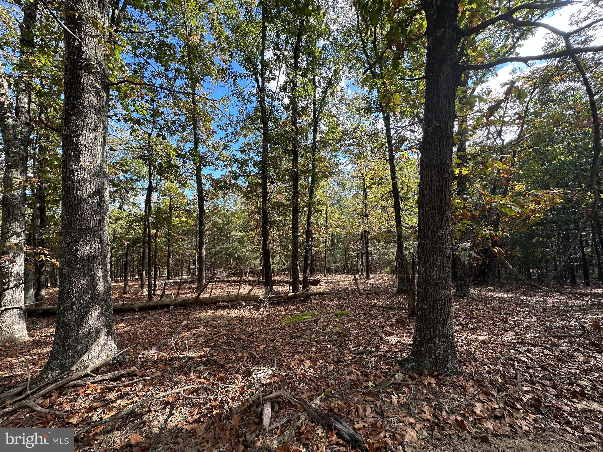 QUIVEY'S GROVE - Land