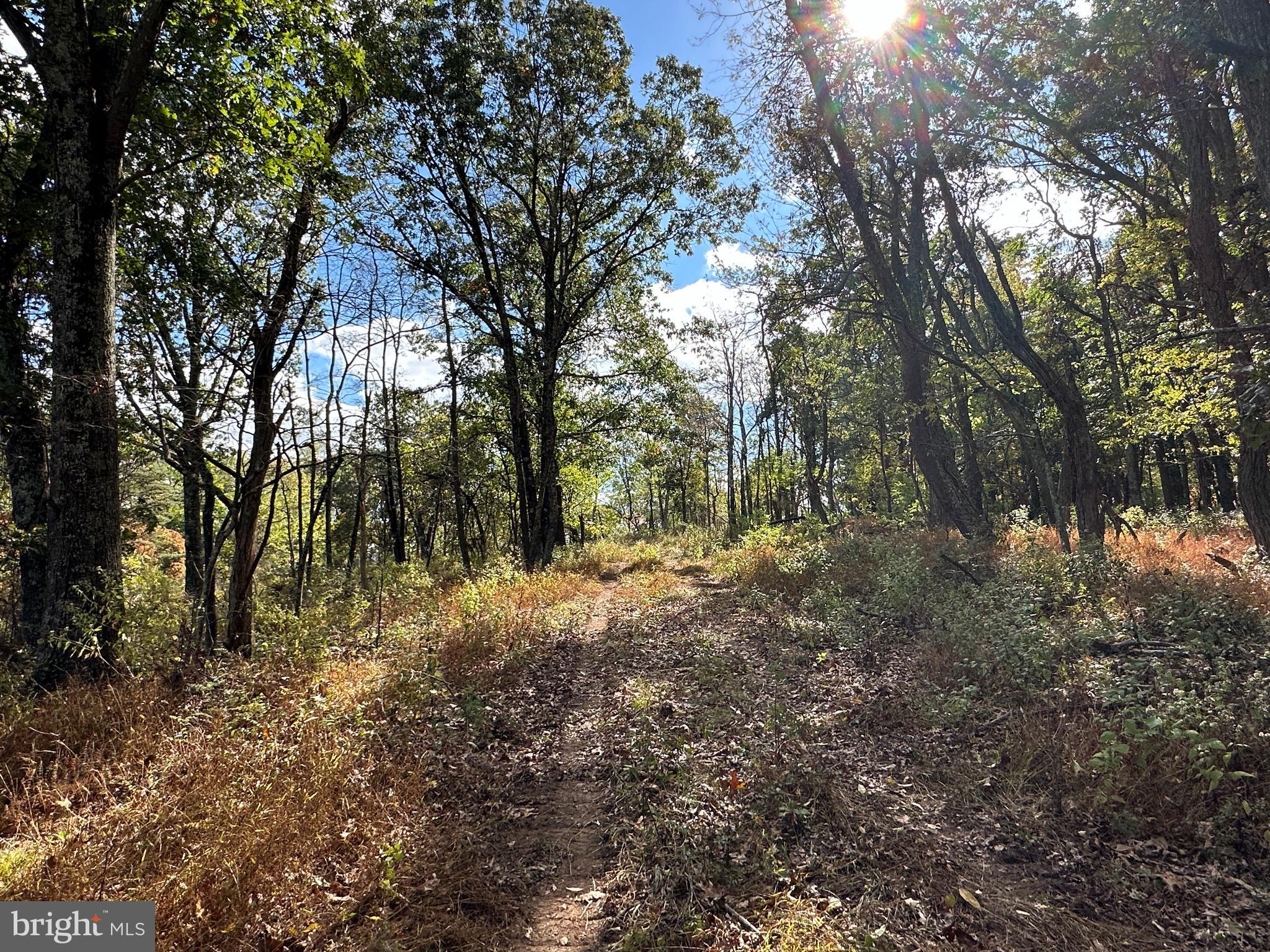 QUIVEY'S GROVE - Land