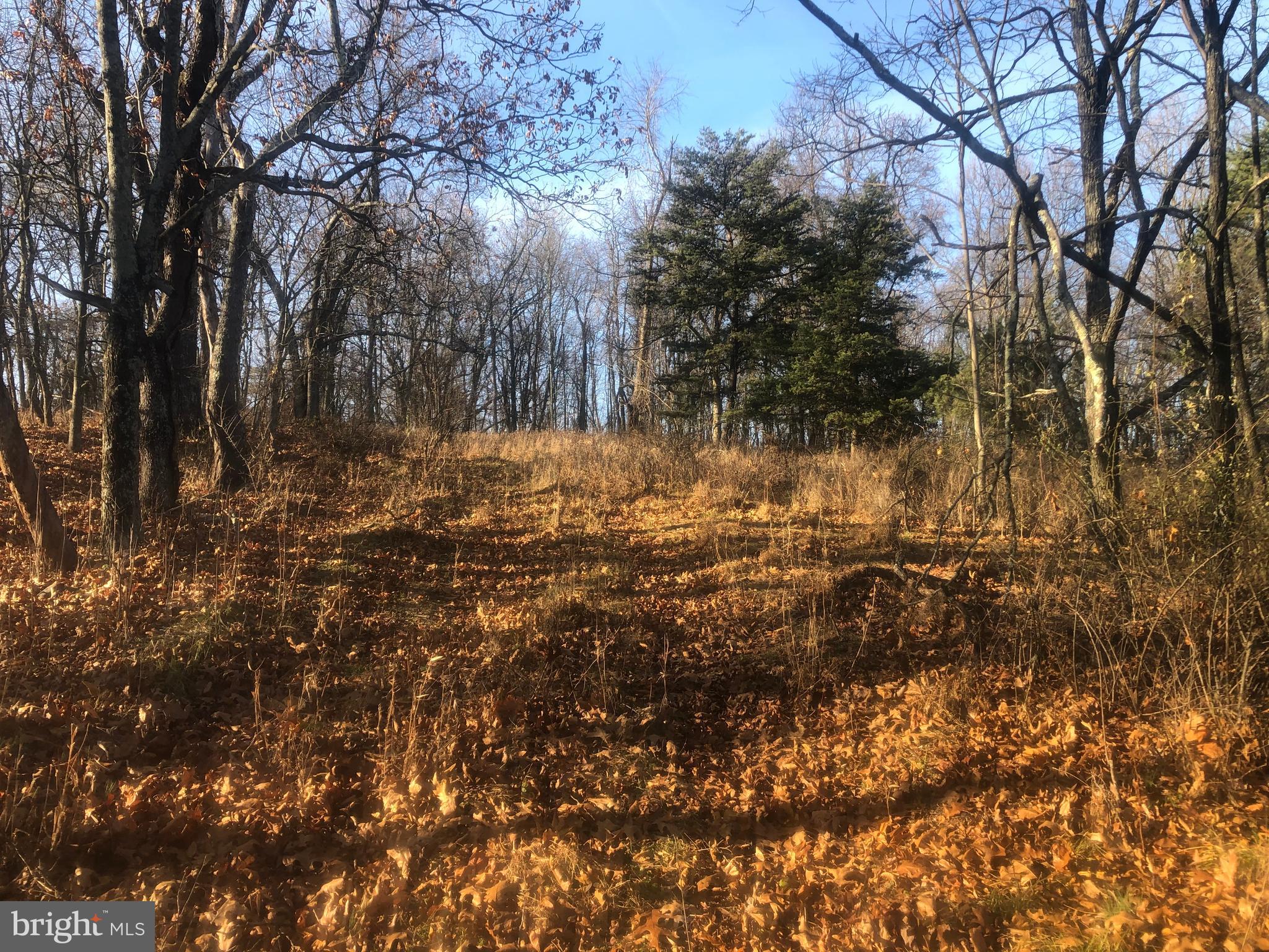 QUIVEY'S GROVE - Land