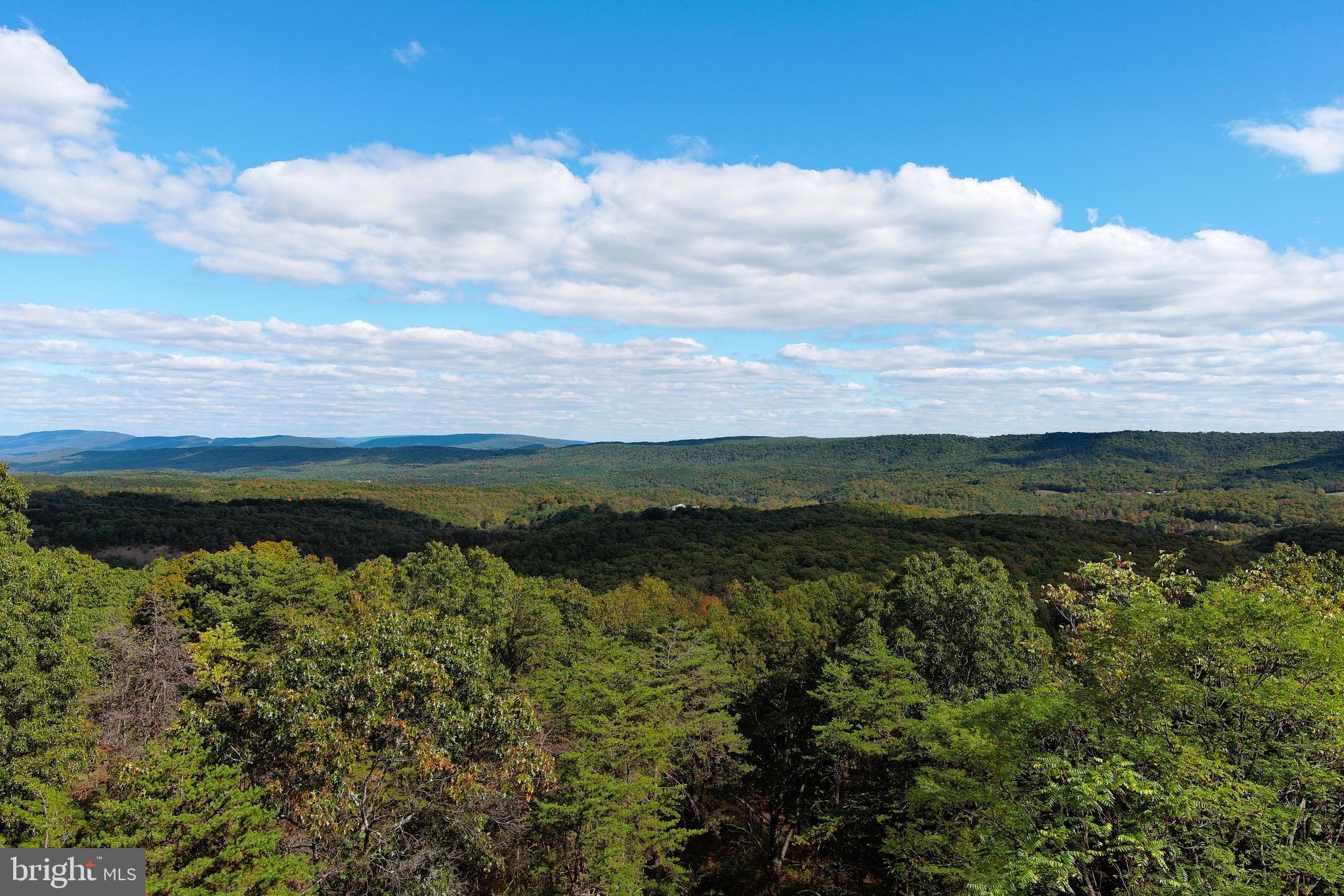 QUIVEY'S GROVE - Land