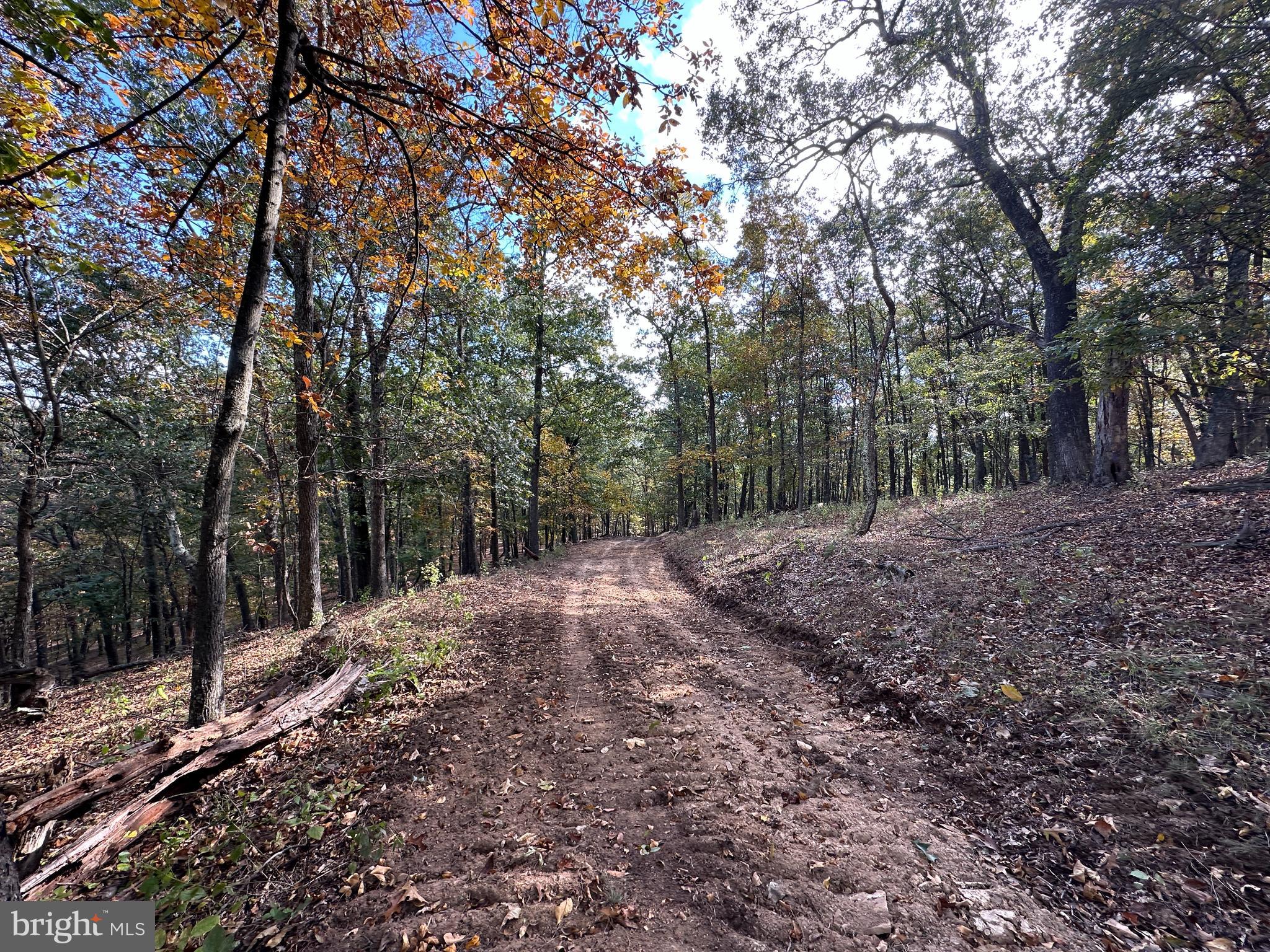 QUIVEY'S GROVE - Land