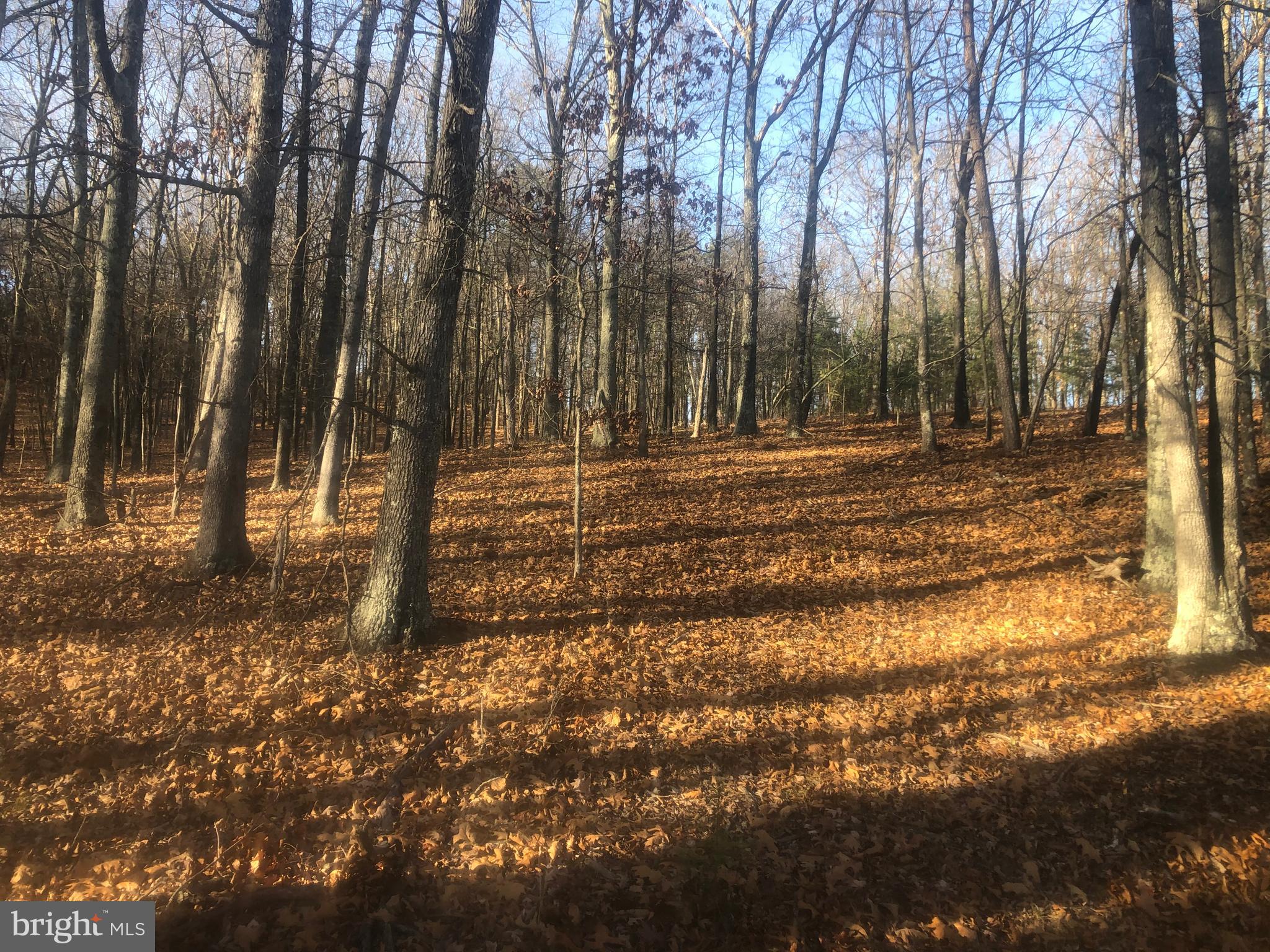 QUIVEY'S GROVE - Land