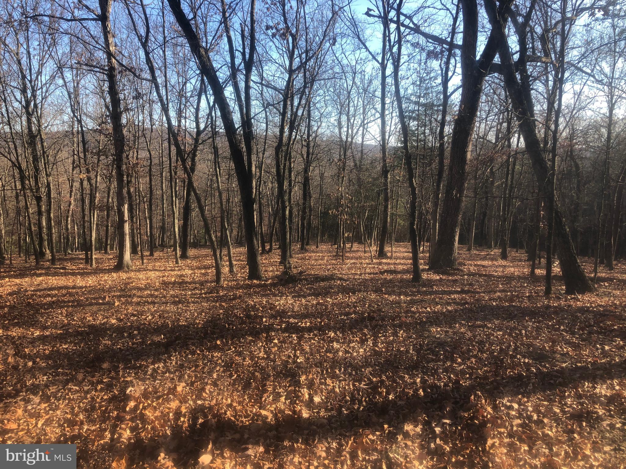 QUIVEY'S GROVE - Land