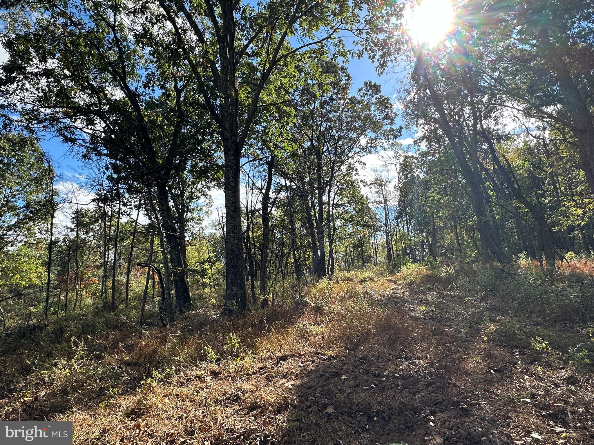 QUIVEY'S GROVE - Land