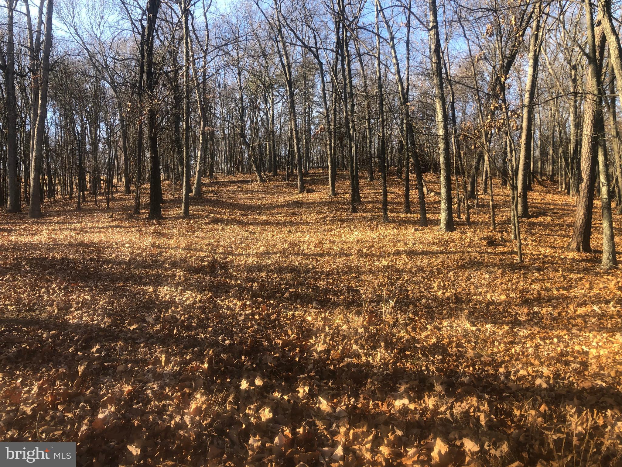 QUIVEY'S GROVE - Land