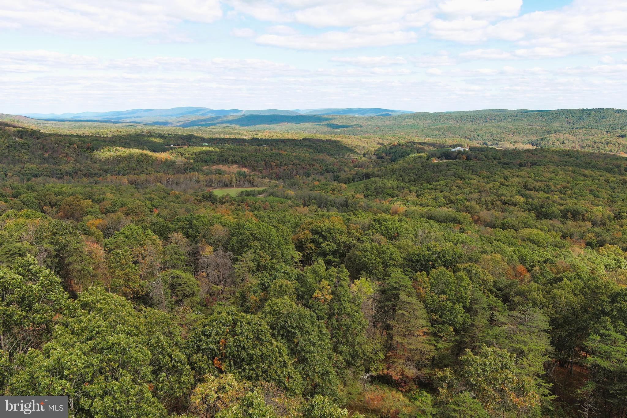 QUIVEY'S GROVE - Land