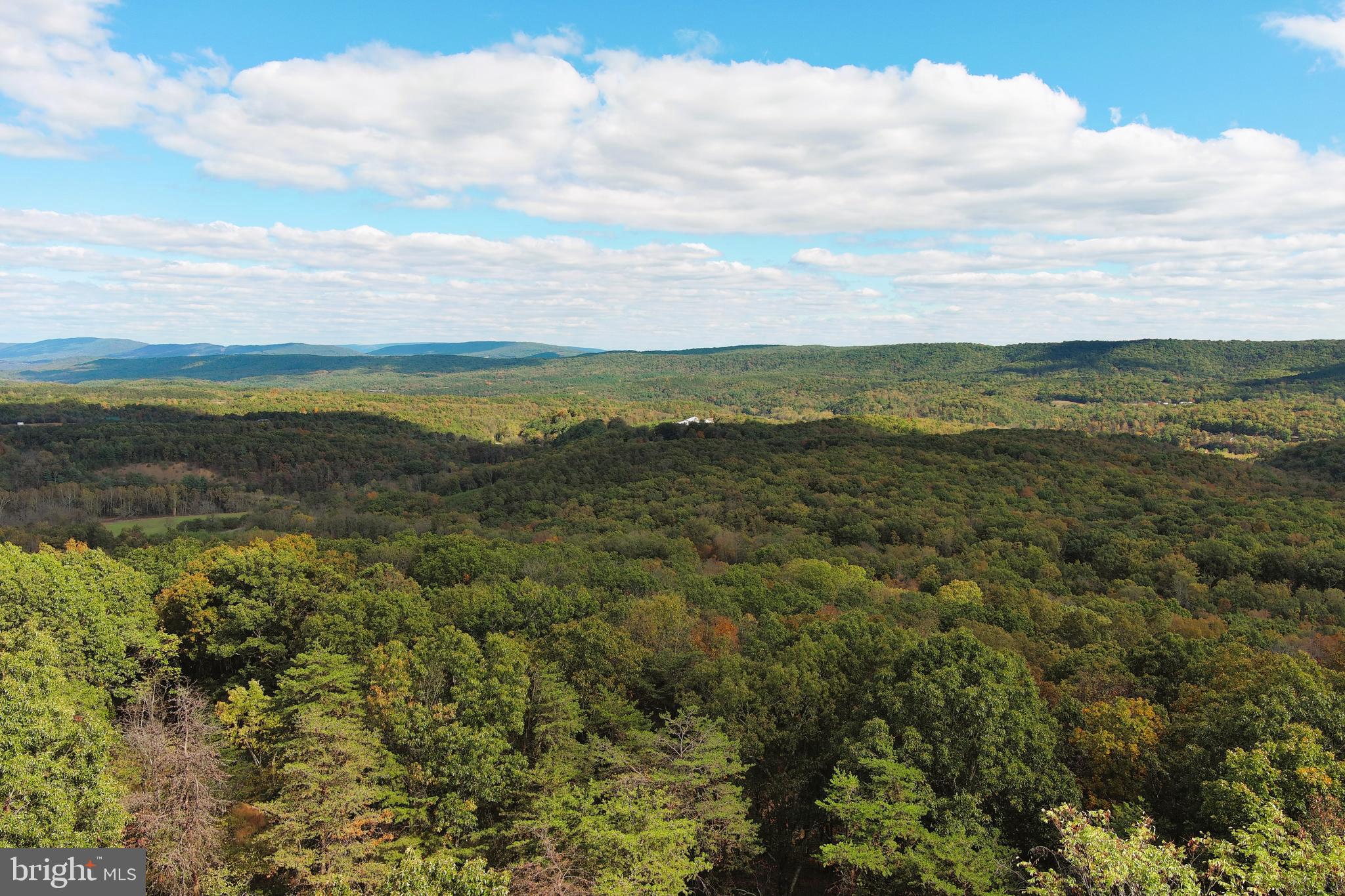 QUIVEY'S GROVE - Land