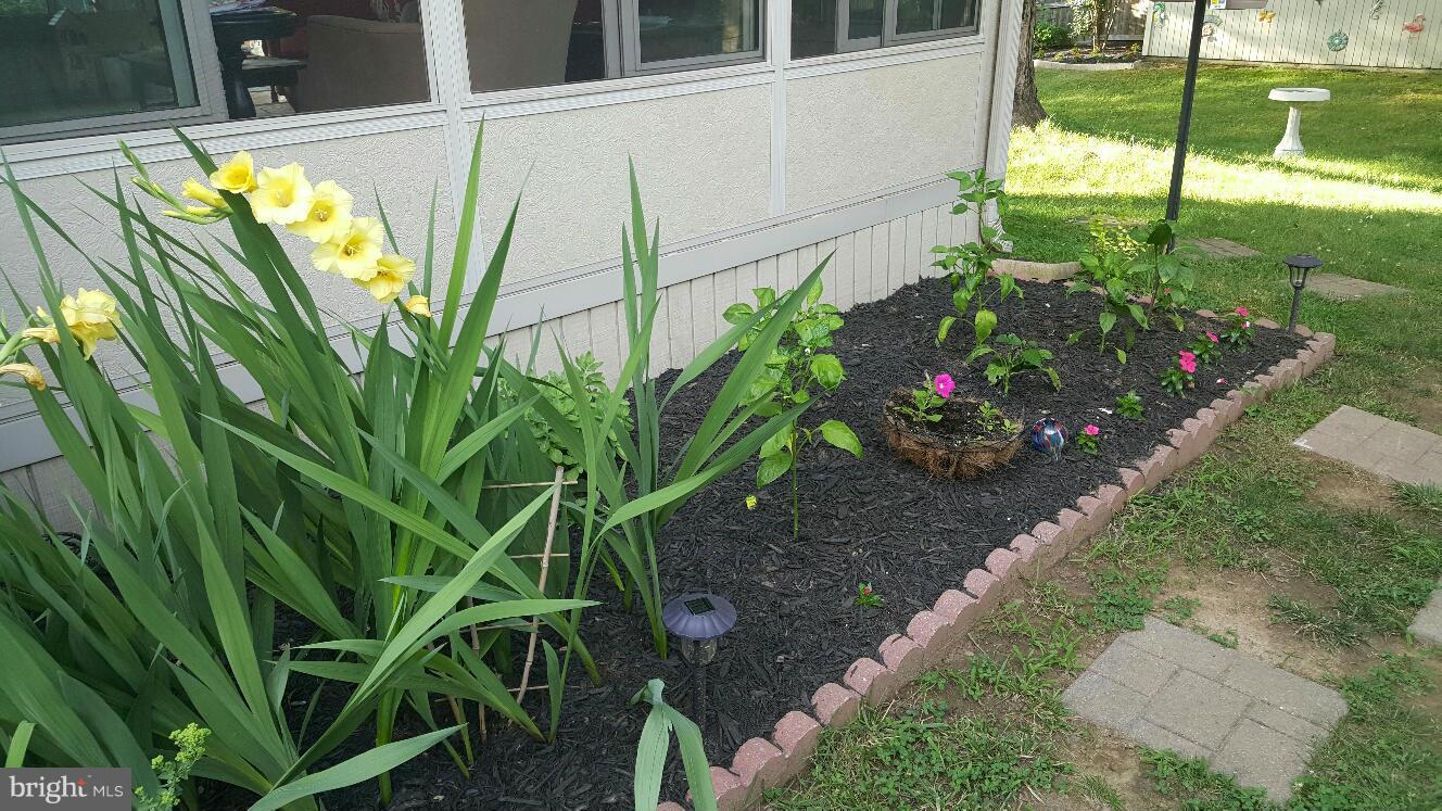 QUEENSLAND - Residential