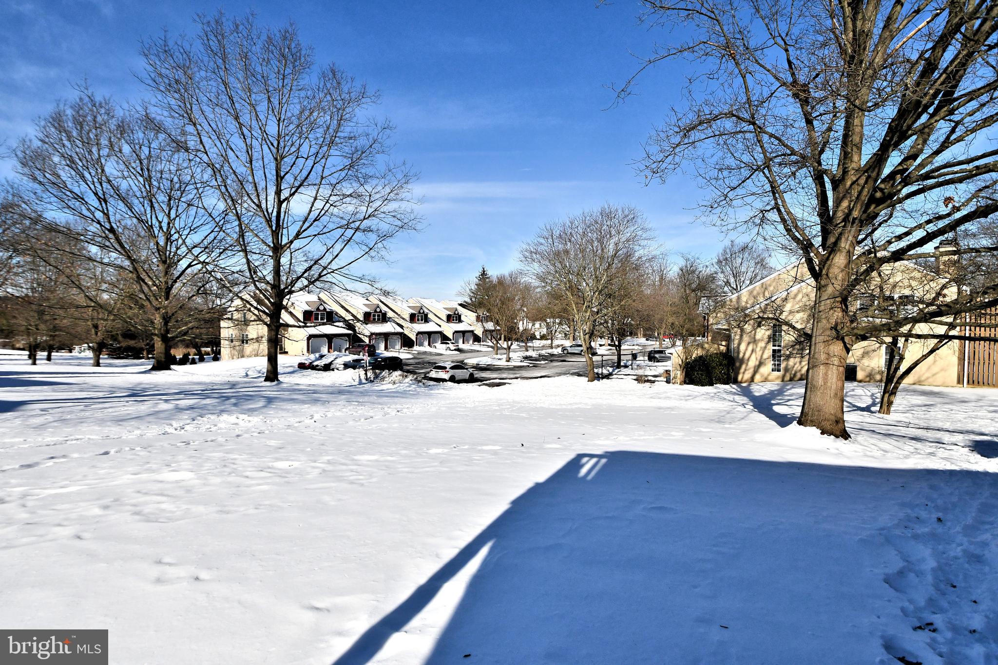 WILLISTOWN WOODS - Residential
